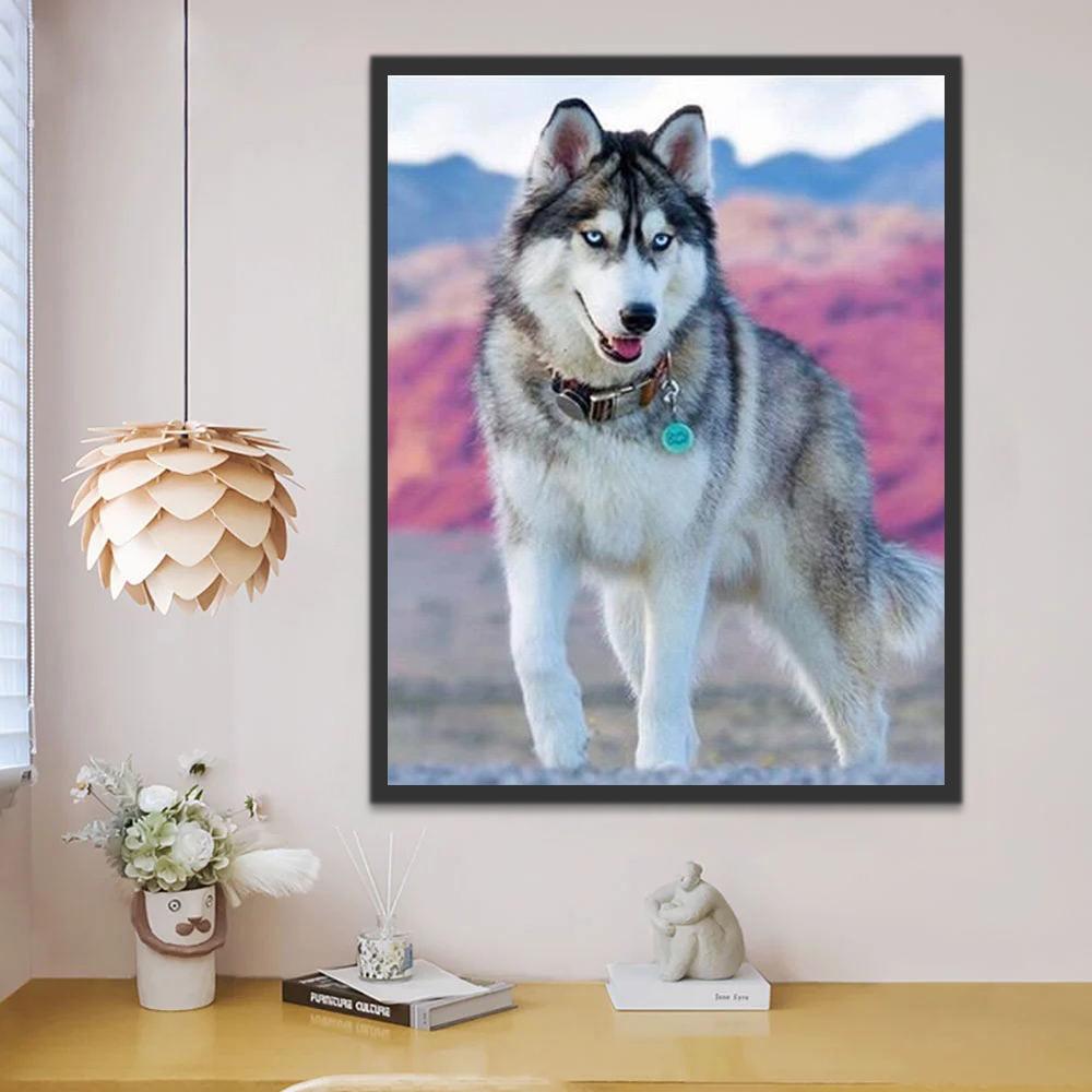 Huskie Joli Peinture par Numéros