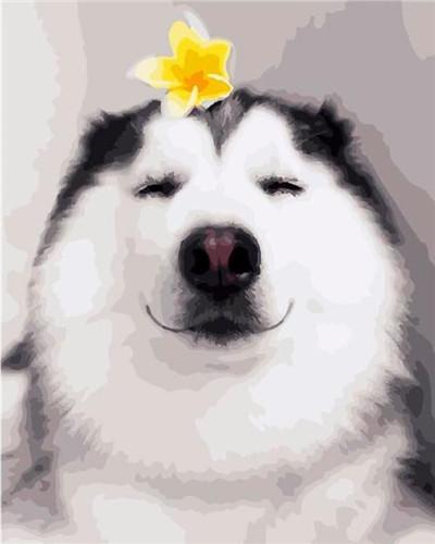 Husky avec une Fleur Jaune Peinture par Numéros