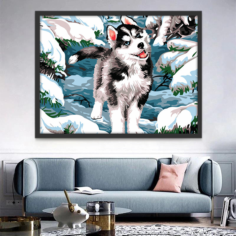 Husky dans la Neige Peinture par Numéros