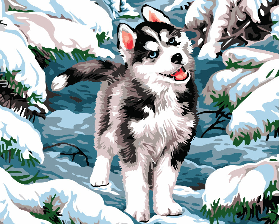 Husky dans la Neige Peinture par Numéros