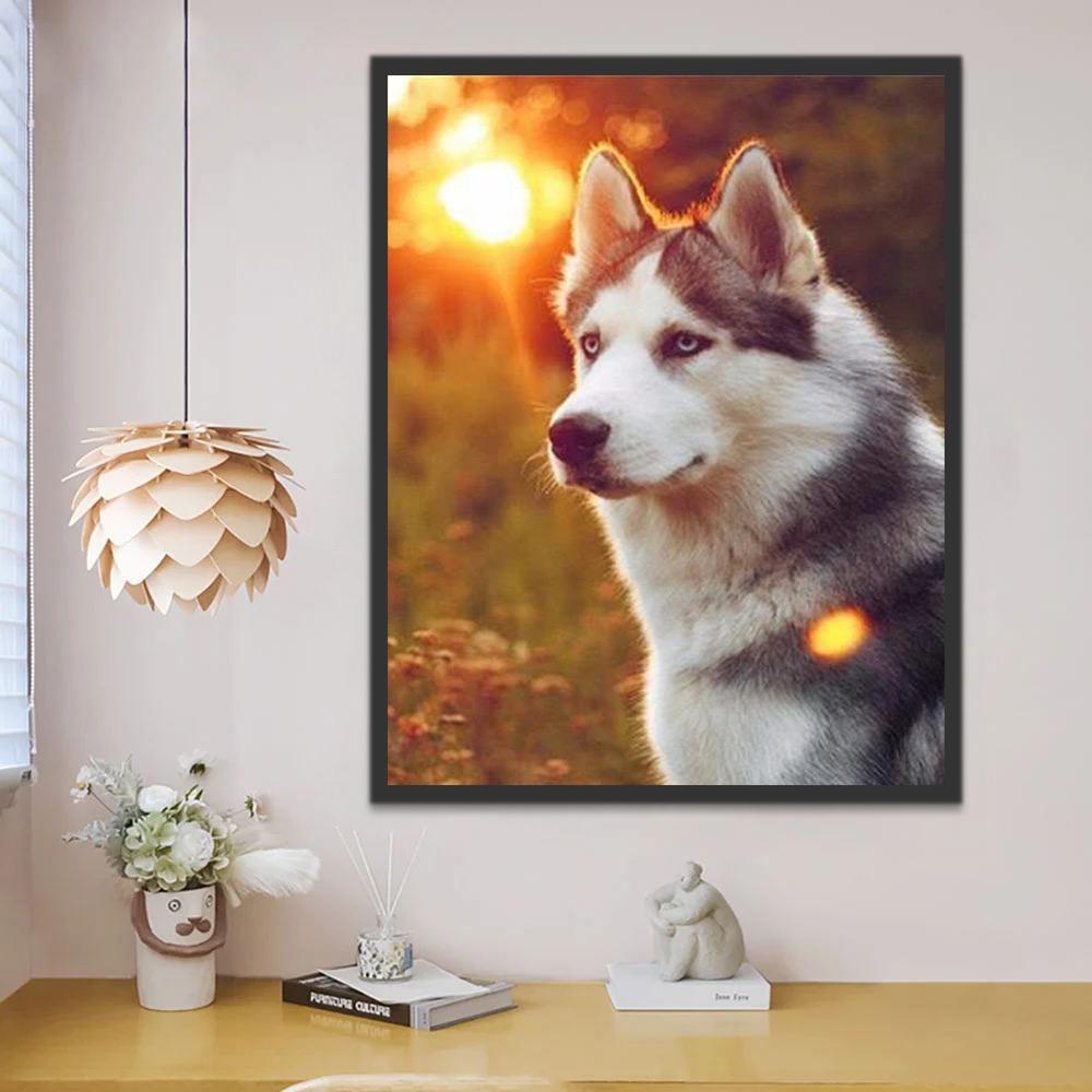 Husky sous le Soleil Peinture par Numéros