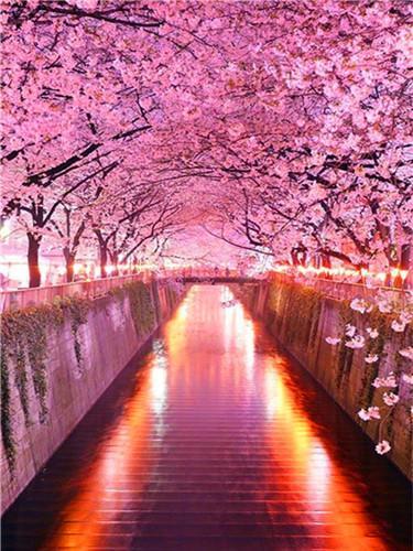 Japon au Printemps Peinture par Numéros