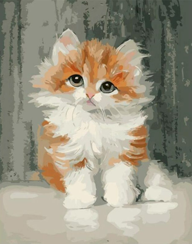 Joli Chat Orange à Poil Long Peinture par Numéros