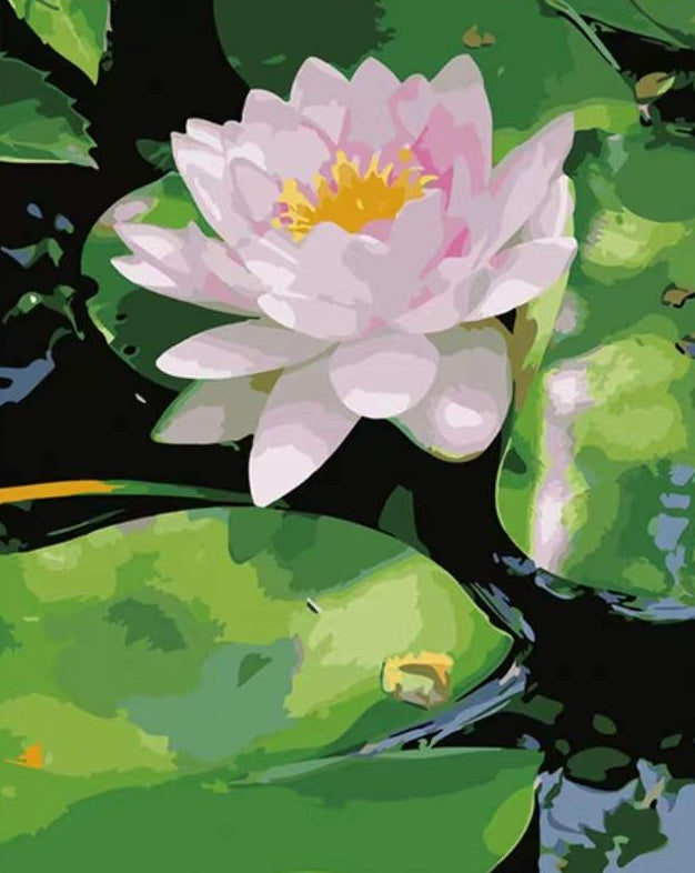 Joli Lotus Fleur Peinture par Numéros