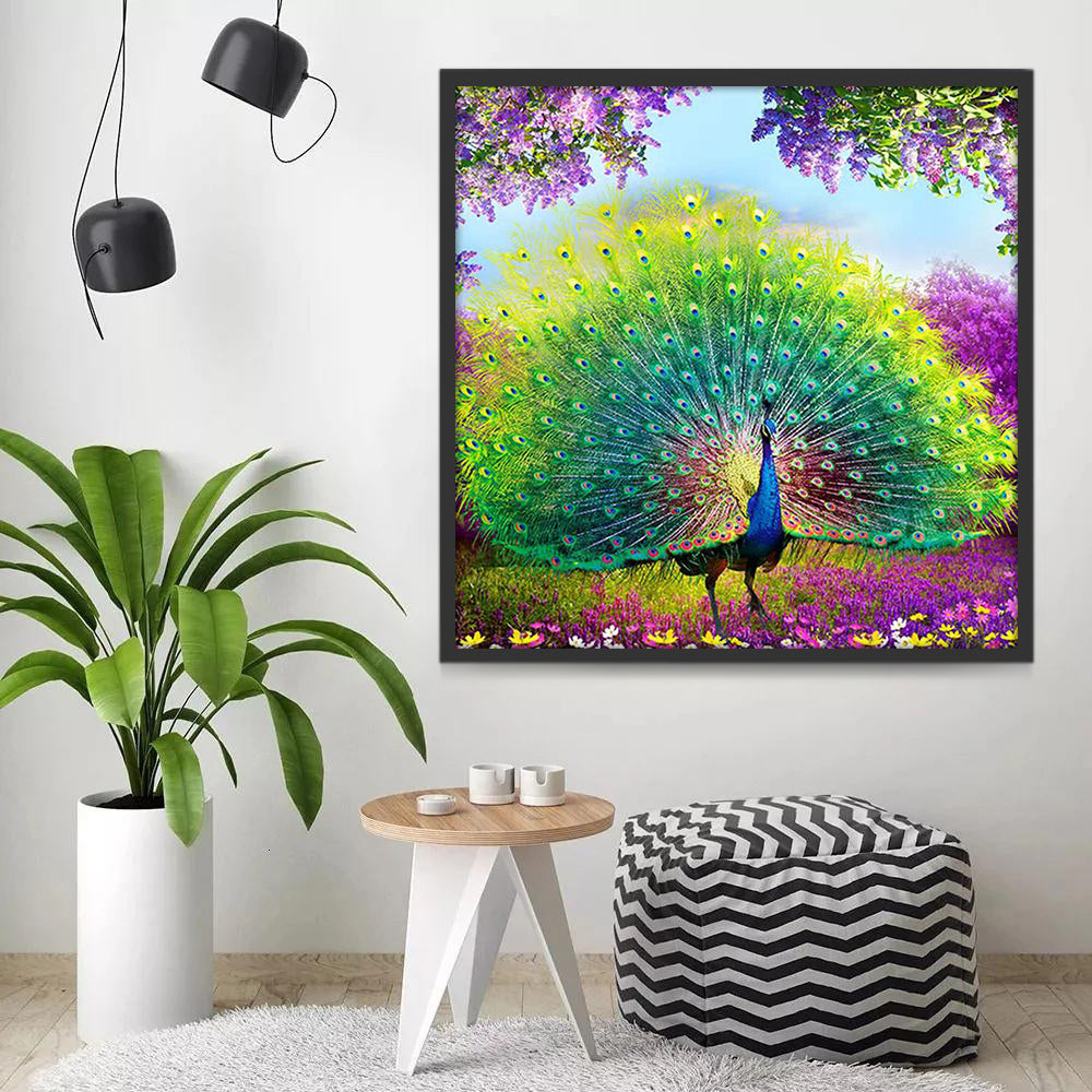 Joli Paon Faisant la Roue et des Fleurs Peinture par Numéros