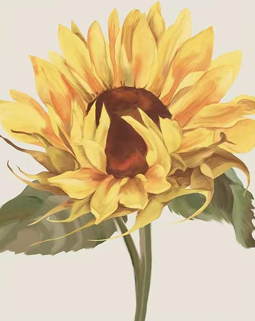 Joli Tournesol Enorme Peinture par Numéros