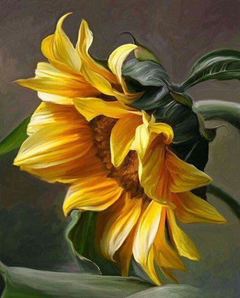 Joli Tournesol Peinture par Numéros