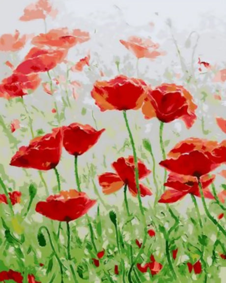Jolis Coquelicots Rouges Peinture par Numéros