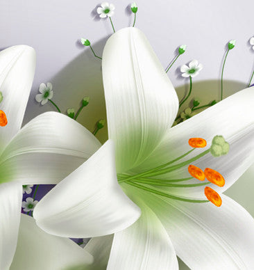 Jolis Lis Fleur Peinture par Numéros
