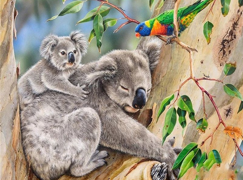 Koalas et Perroquet Peinture par Numéros