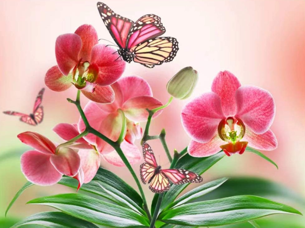 L'orchidées Roses et Papillons Peinture par Numéros