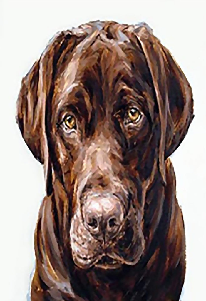 Labrador Brun Foncé Peinture par Numéros