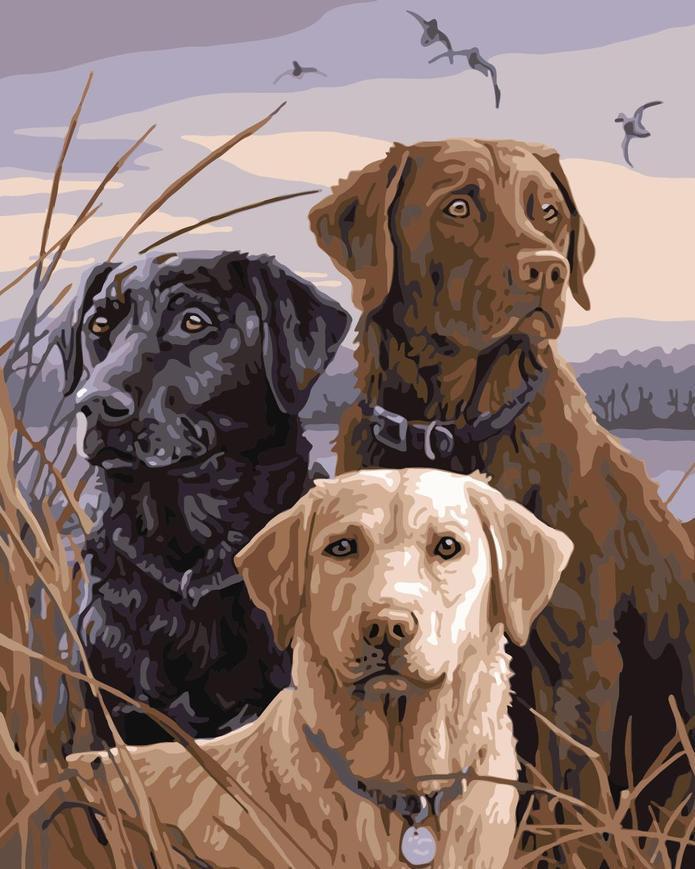 Labradors Cools Peinture par Numéros