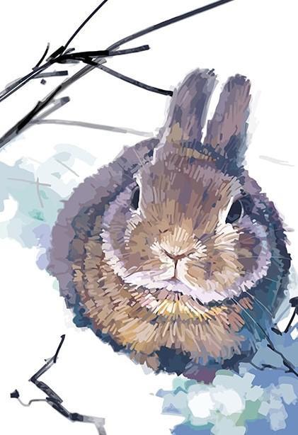 Lapin Enrobé dans la Neige Peinture par Numéros