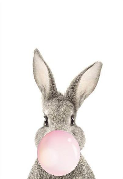 Lapin et Ballon Peinture par Numéros