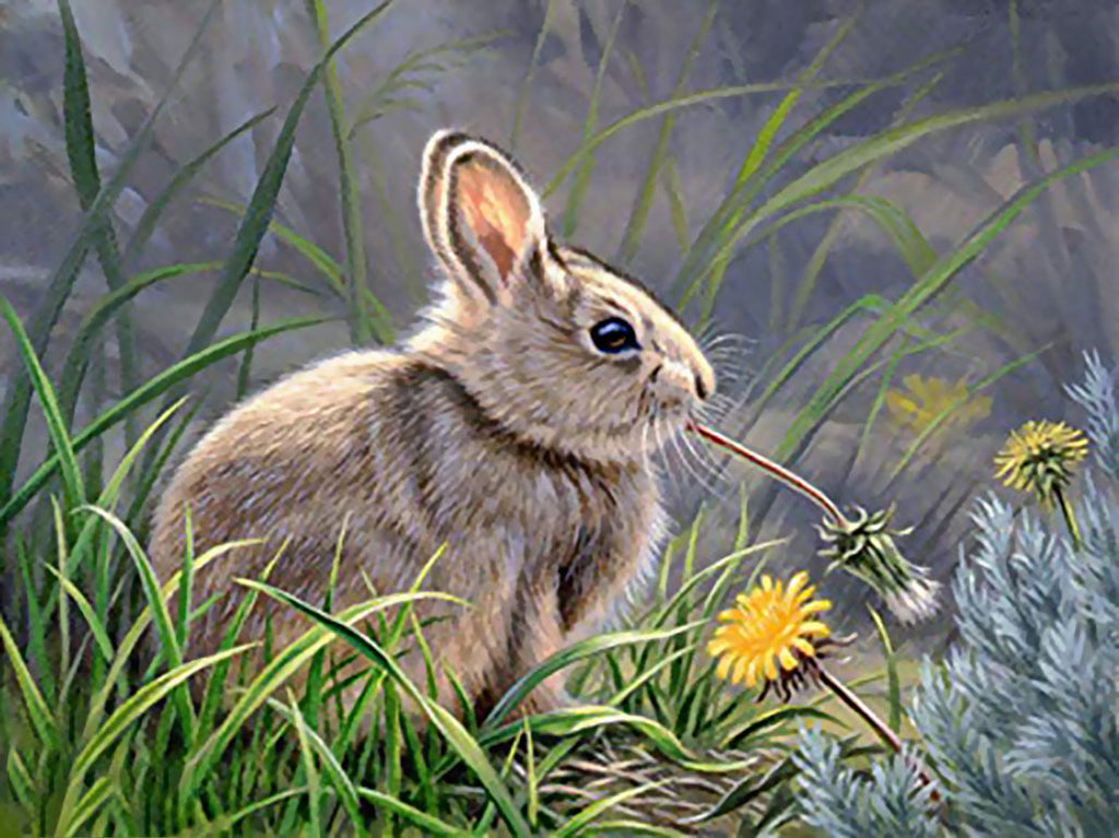 Lapin Mangeant Peinture par Numéros