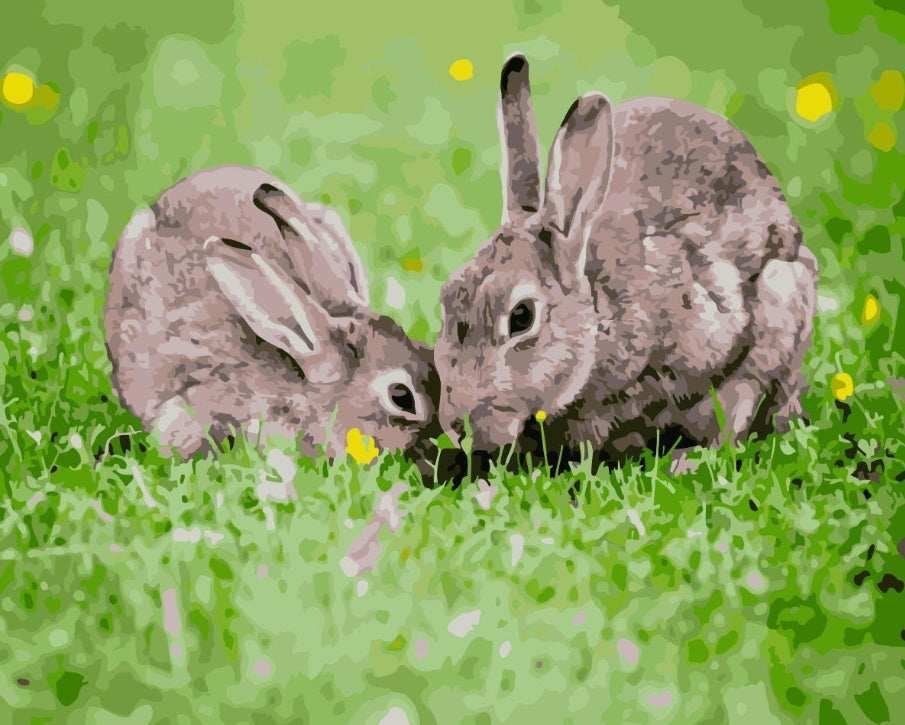 Lapins Mangeant Peinture par Numéros