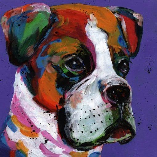 Le Boxer Chien Peinture par Numéros