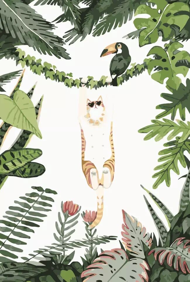 Le Chat en Lunettes de Soleil et l'Oiseau Toucan Peinture par Numéros