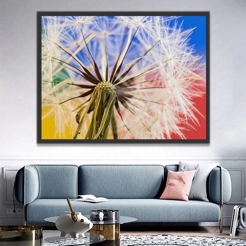 Le Plante Pissenlit Peinture par Numéros