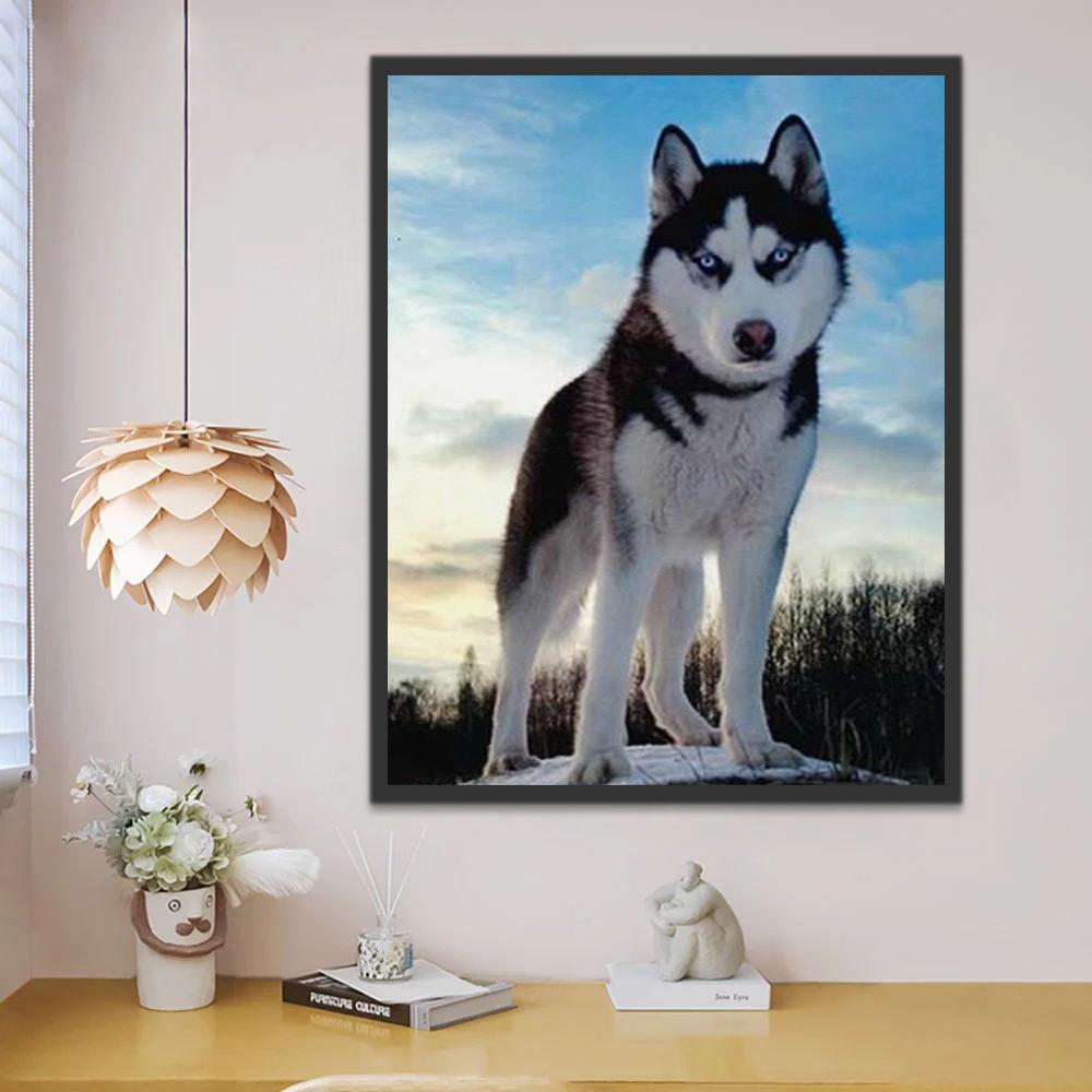 Le Roi du Huskie Peinture par Numéros
