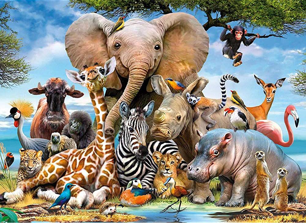 Les Animaux Tropicaux Peinture par Numéros