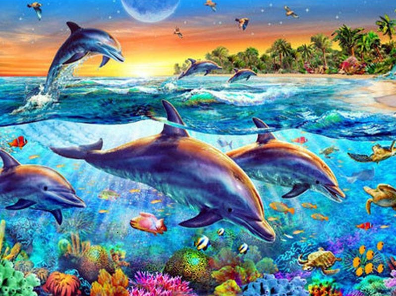 Les Dauphins Mignons Peinture par Numéros