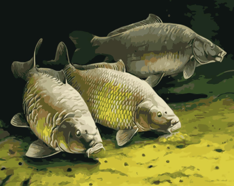 Les Poissons Peinture par Numéros