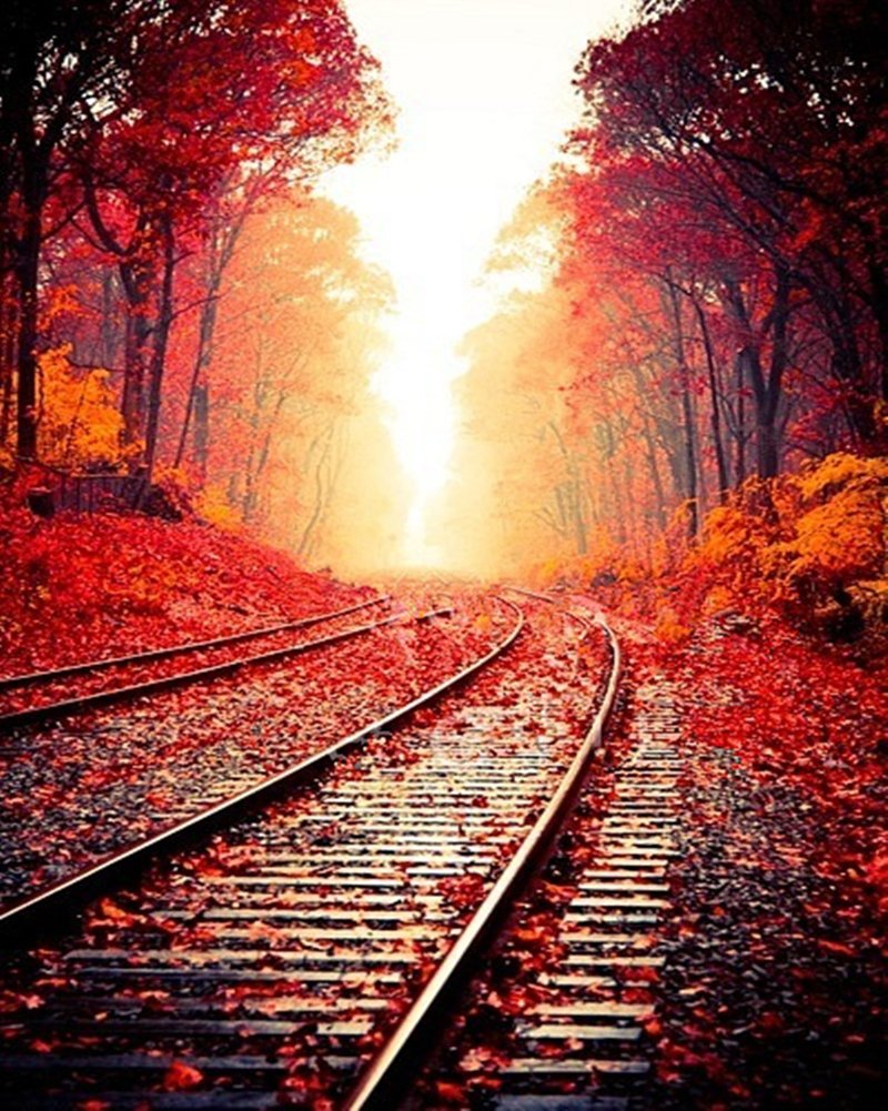 Les Rails en Automne Peinture par Numéros