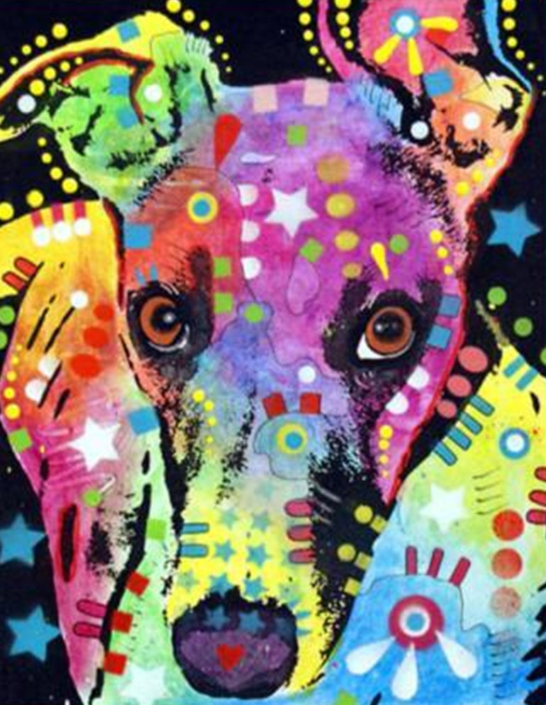 Lévrier Greyhound Multicolore Peinture par Numéros
