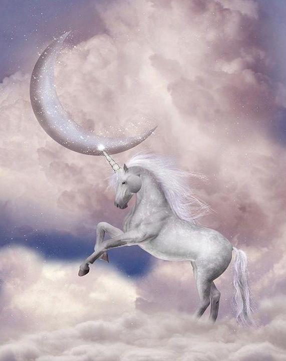 Licorne et Lune Brillante Peinture par Numéros
