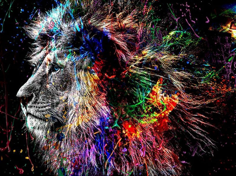 Lion à Crinière Colorée Peinture par Numéros