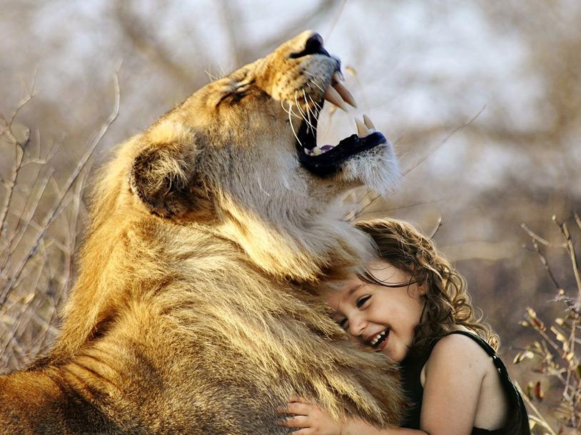 Lion et Petit Fille Peinture par Numéros