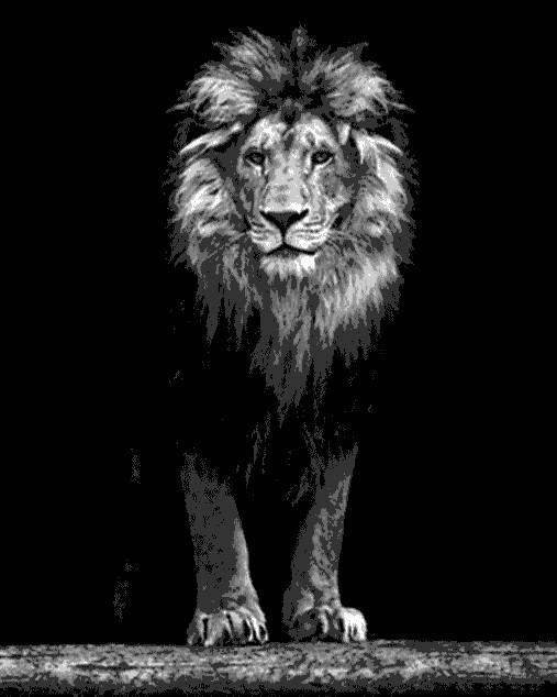 Lion Noir et Blanc Peinture par Numéros