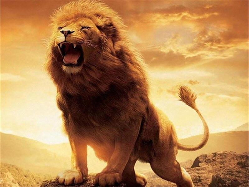 Lion Rugissant vers le Ciel Peinture par Numéros