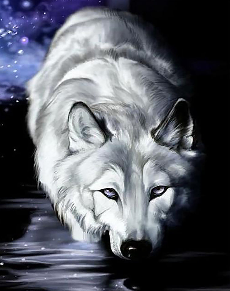 Loup à la Chasse Peinture par Numéros