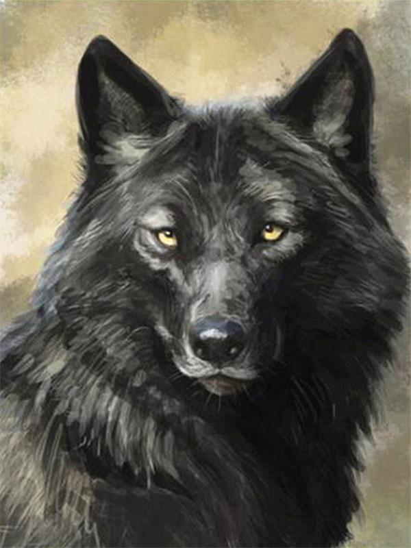 Loup Blanc aux Yeux Jaunes Peinture par Numéros