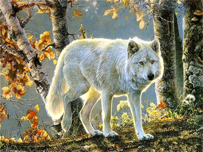 Loup Blanc dans la Forêt Peinture par Numéros