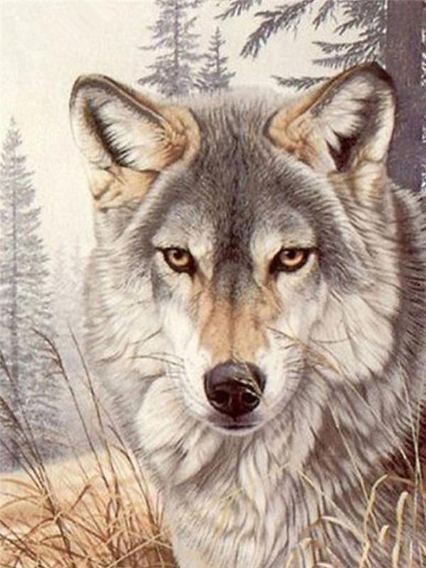 Loup Charmant d'Automne Peinture par Numéros