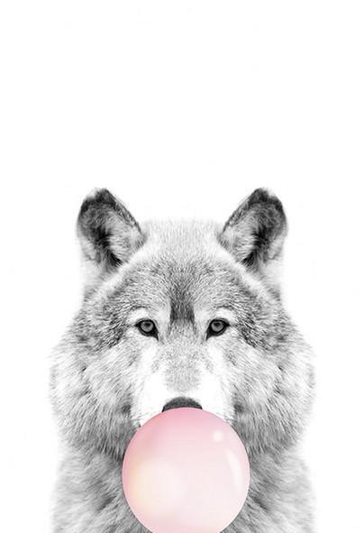 Loup et Bulle Rose Peinture par Numéros