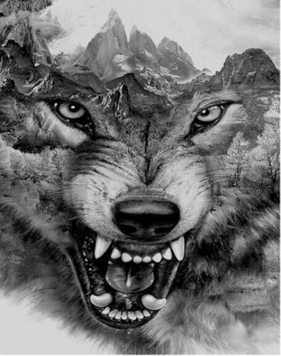 Loup Féroce et Montagne Peinture par Numéros