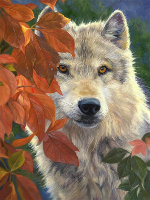 Loup Gris et Feuilles d'Automne Peinture par Numéros