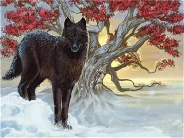 Loup Noir dans la Neige Peinture par Numéros