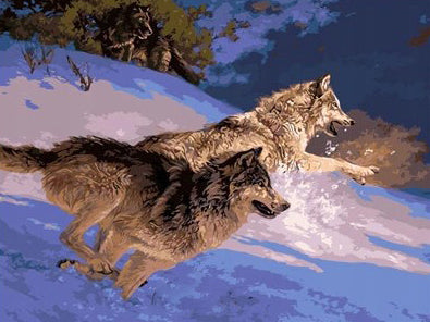 Loups Courant dans la Neige Peinture par Numéros