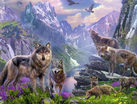 Loups dans les Montagnes Peinture par Numéros