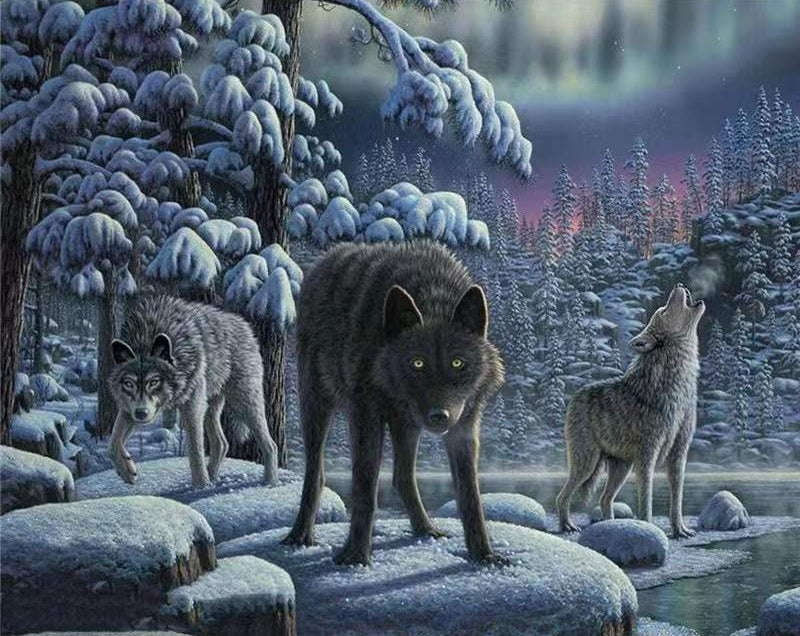 Loups en Hiver Peinture par Numéros