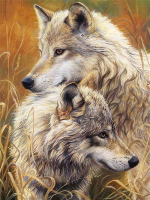 Loups et Herbes Jaunes Peinture par Numéros
