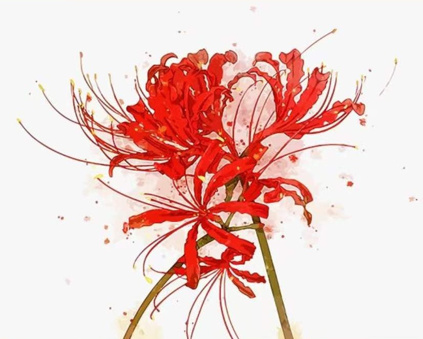 Lycoris Rouge Peinture par Numéros