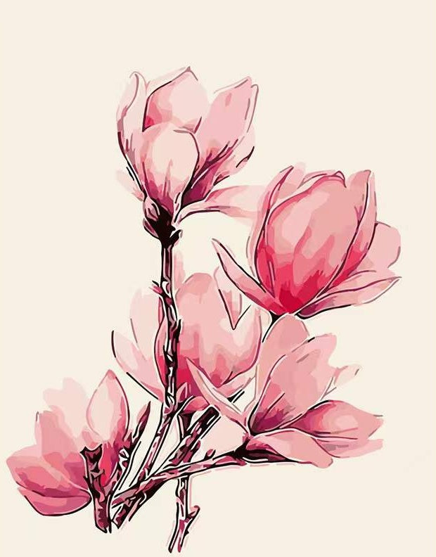 Magnolias Roses Peinture par Numéros
