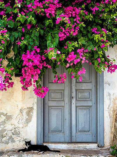 Maison de Fleurs et Chat Peinture par Numéros